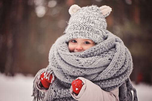 Festive Walks in December 2021