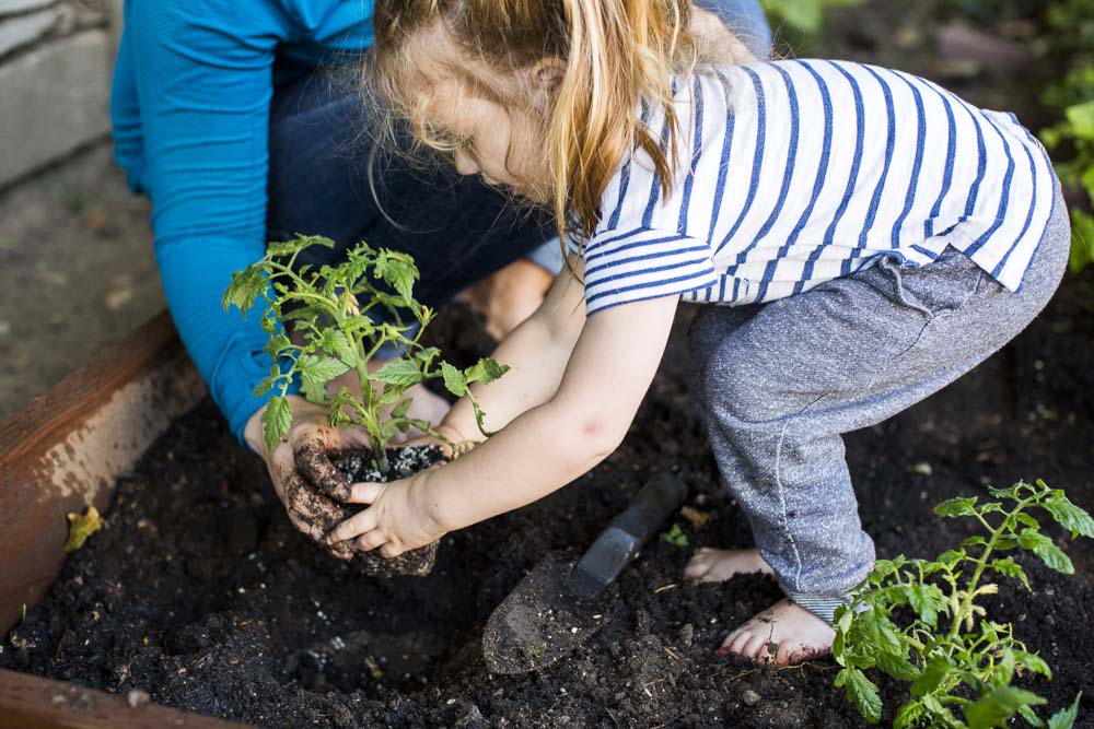 Spring – Learn new skills